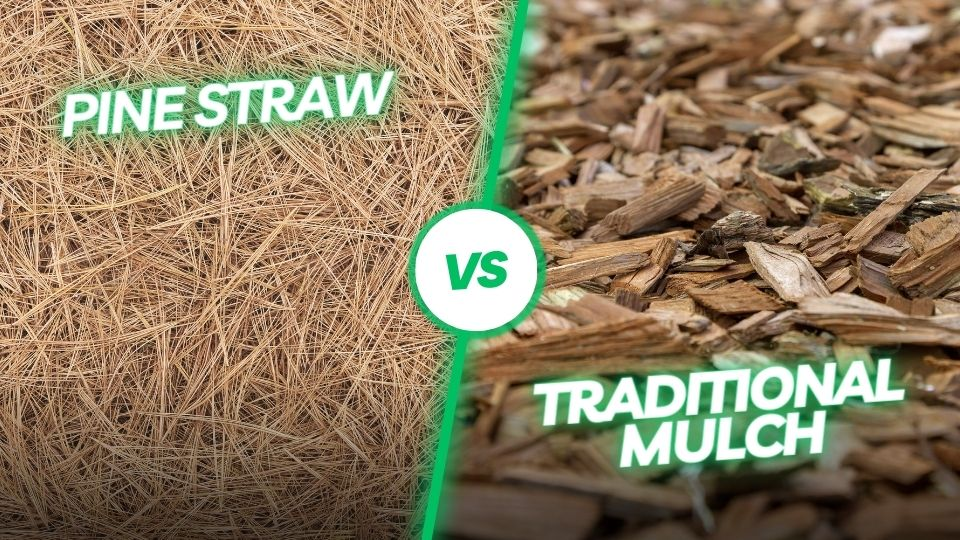 pine straw and shredded hardwood mulch are often the  popular choice for landscape beds