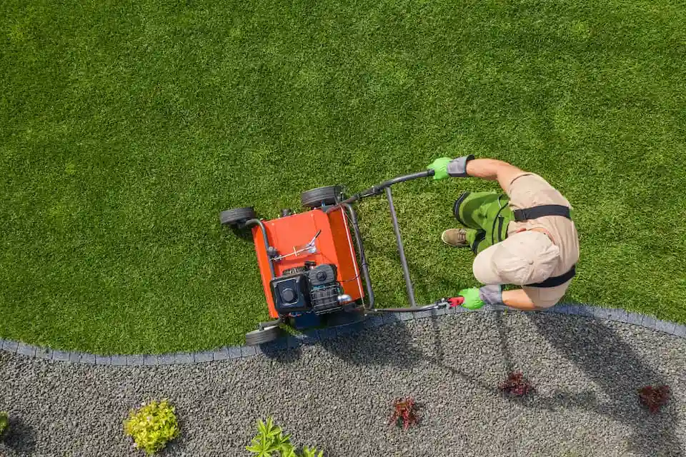 NC Lawn Care Tips
