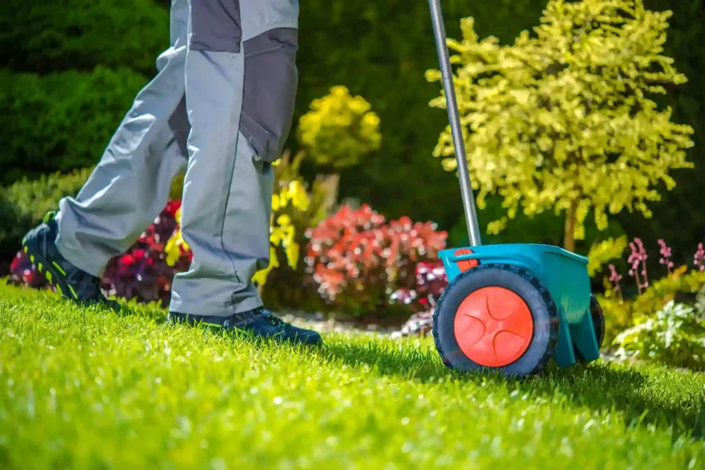 is it too late to plant grass seed in september?