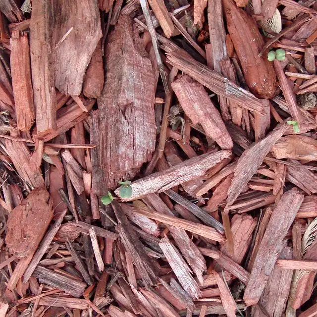 organic mulches improve soil moisture levels and prevent soil erosion