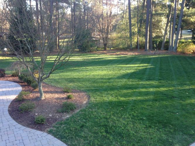 Lawn Maintenance and Care