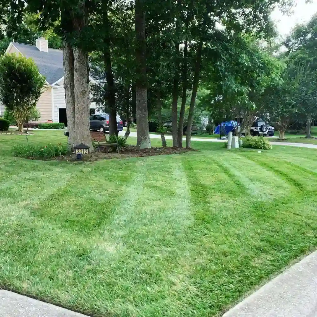 Professional Lawn Seeding Services