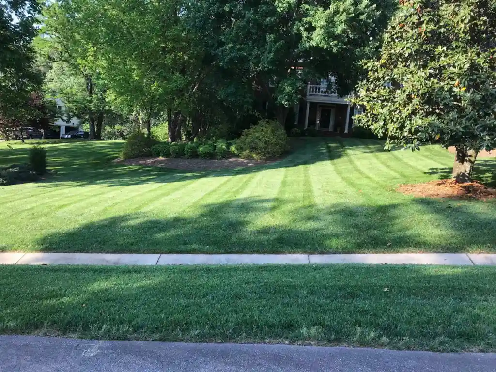 Lawn Care in Wake Forest, NC