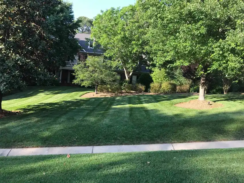 Wake Forest NC Lawn Mowing