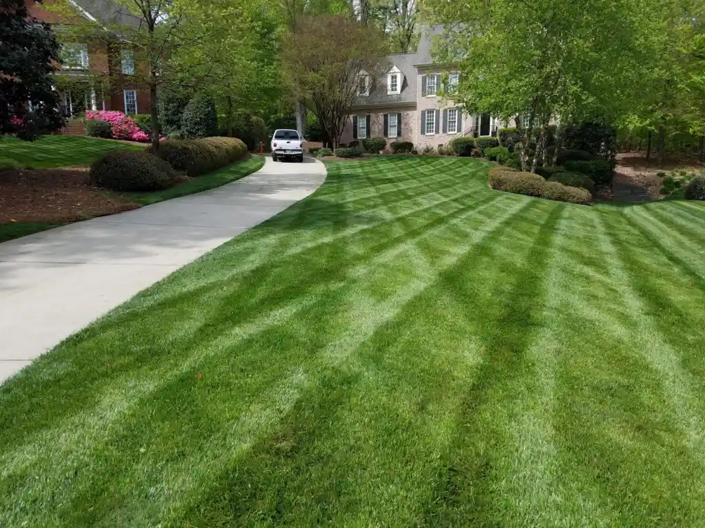 NC Lawn Mowing