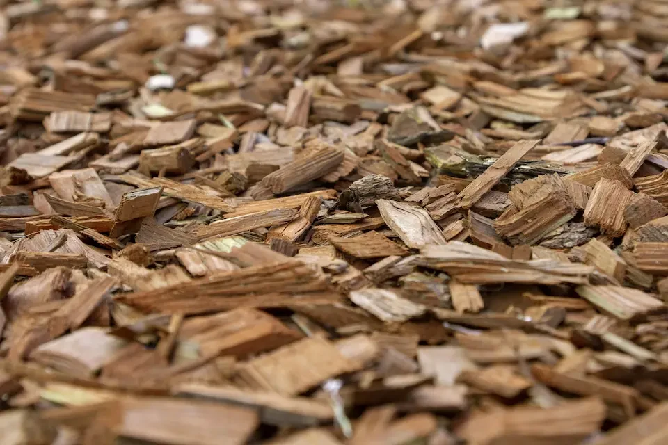 Wood chips conserve moisture and suppress weeds and are a popular option