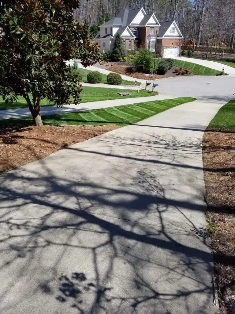 Wake Forest Landscaping services