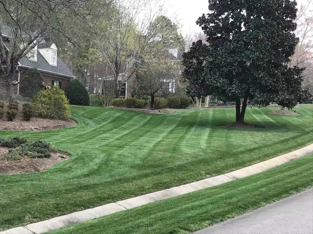 Lawn Care Wake Forest