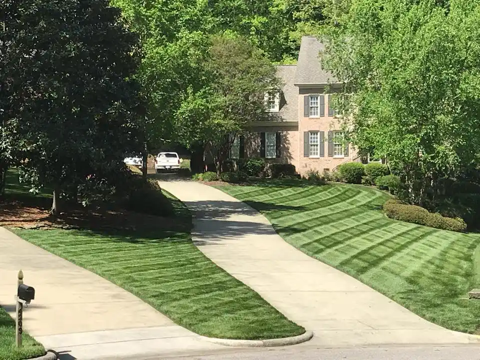 Wake Forest North Carolina Lawn Care Services