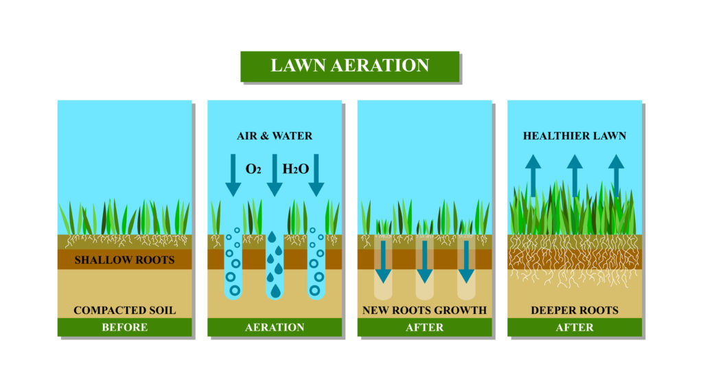 Wake Forest Lawn Aeration