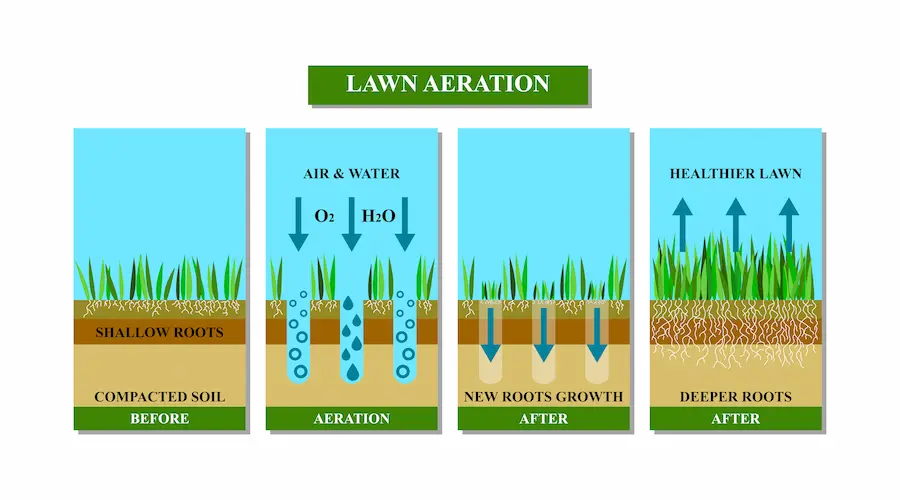 wake forest lawn aerations