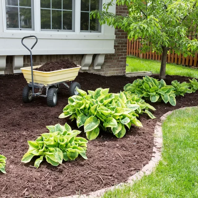 mulch-installation Protect your flower beds with a top layer of nutrient-rich mulch.