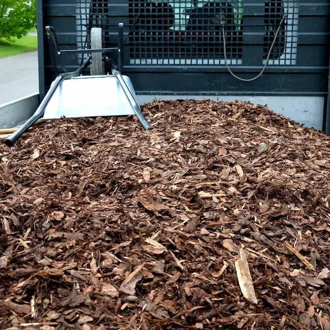 wake-forest-mulching-service Professional landscapers offering mulch installation services for outdoor projects.