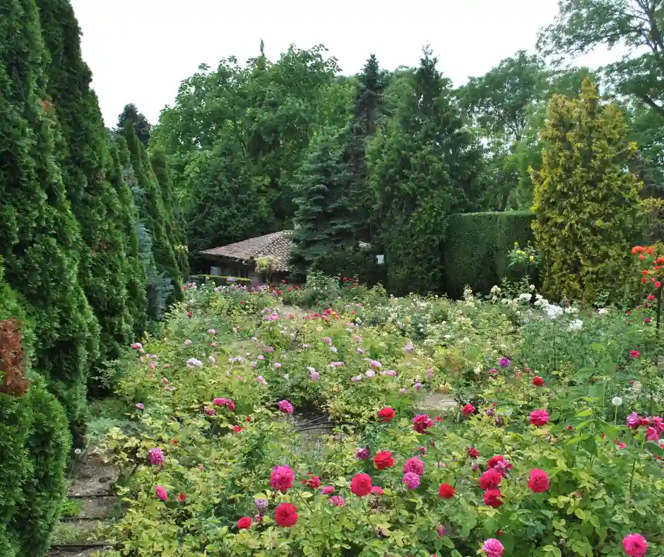 beautiful landscaping trends