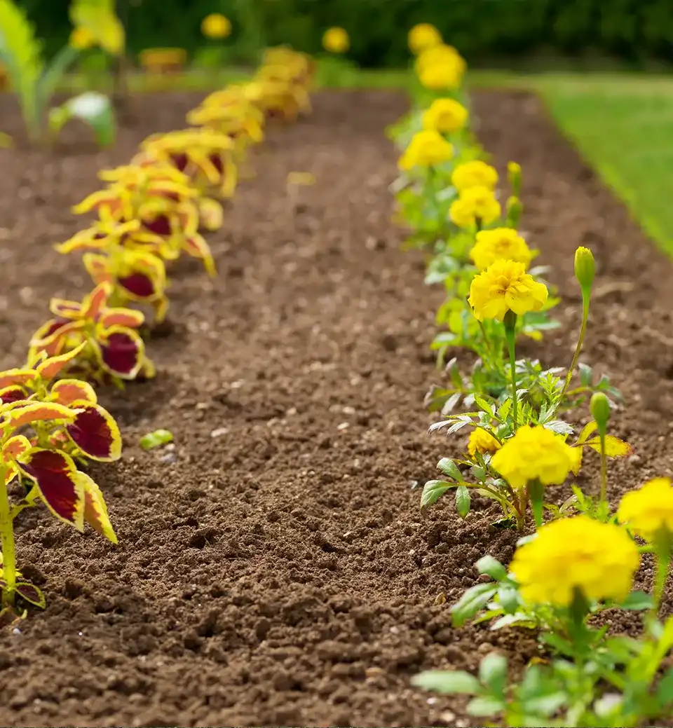 Flower Bed Construction