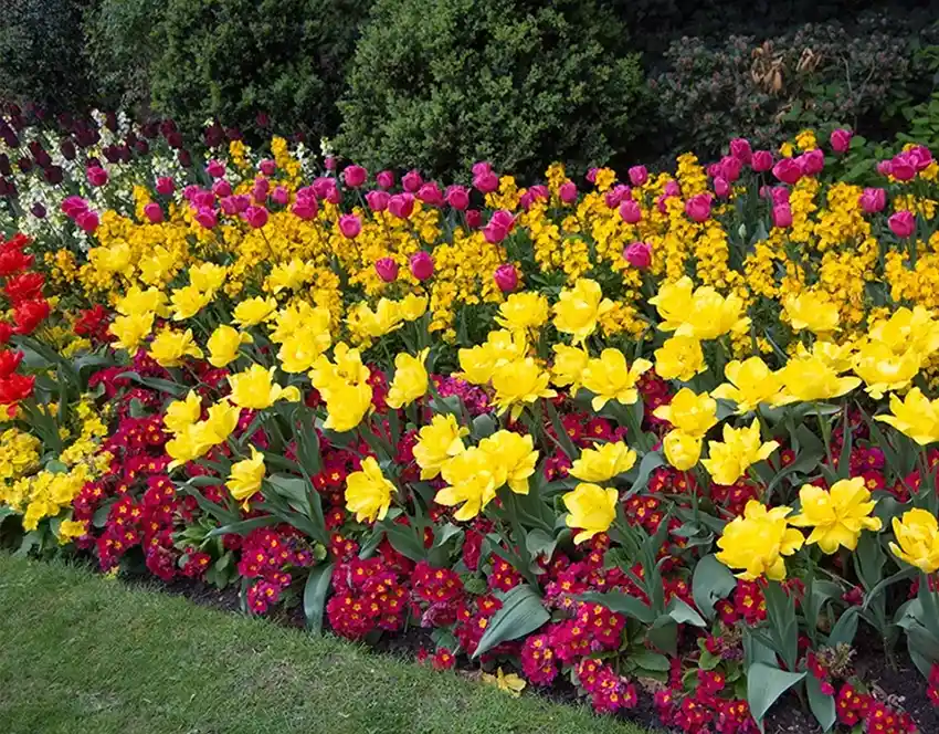 Flower Beds Built To Last