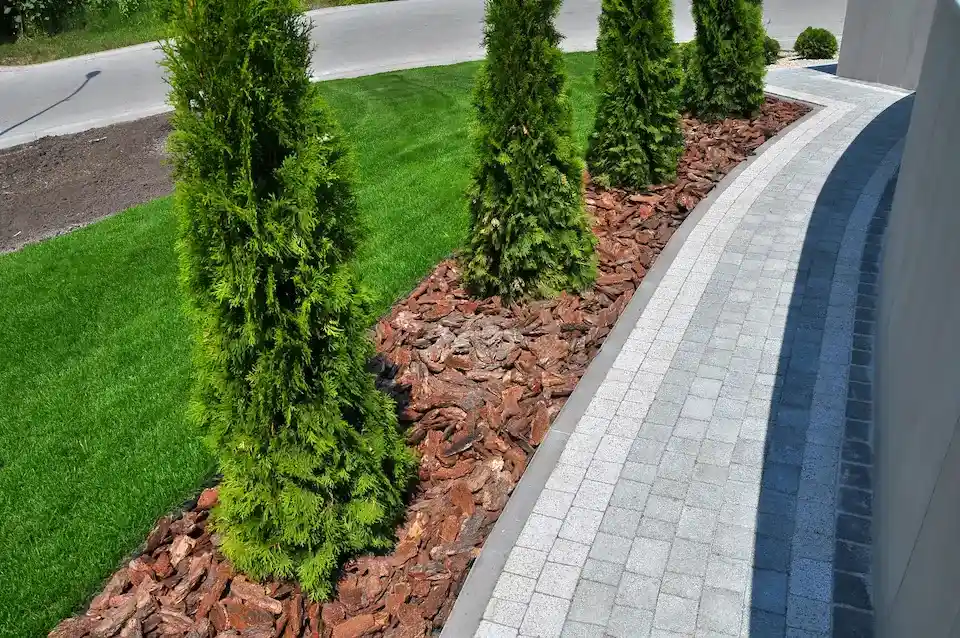 Front yard property line divider ideas in nc