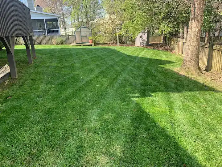 Grass Cutting Is Essential For Your Lawn