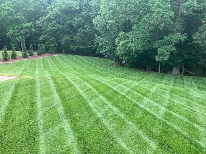 Wake Forest grass mowing