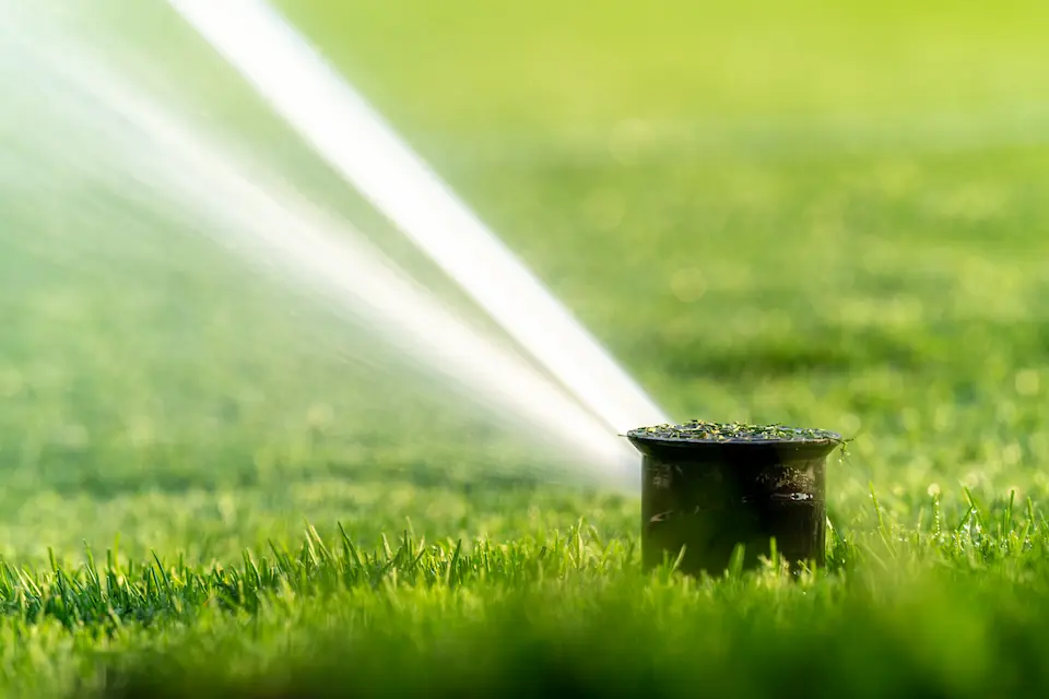Healthy lawn best watering time