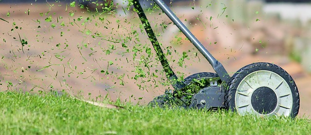 mulching your grass