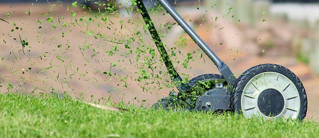 Bagging vs. Mulching Grass Clippings