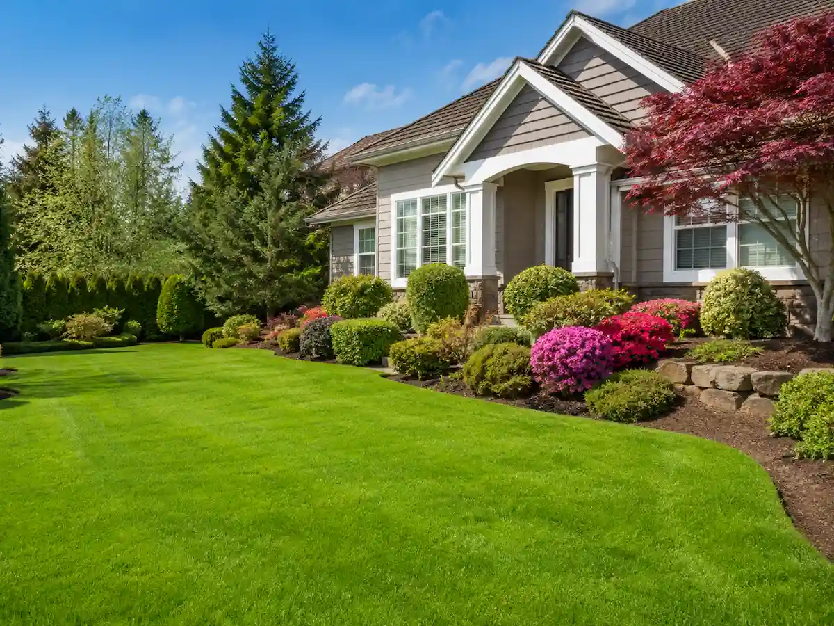 Professional lawn care in Wake Forest with a freshly maintained lawn, trimmed shrubs, and landscaped garden beds