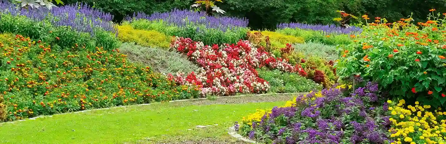 High Quality Flower Bed Design