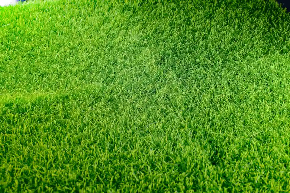 spring lawn preparation