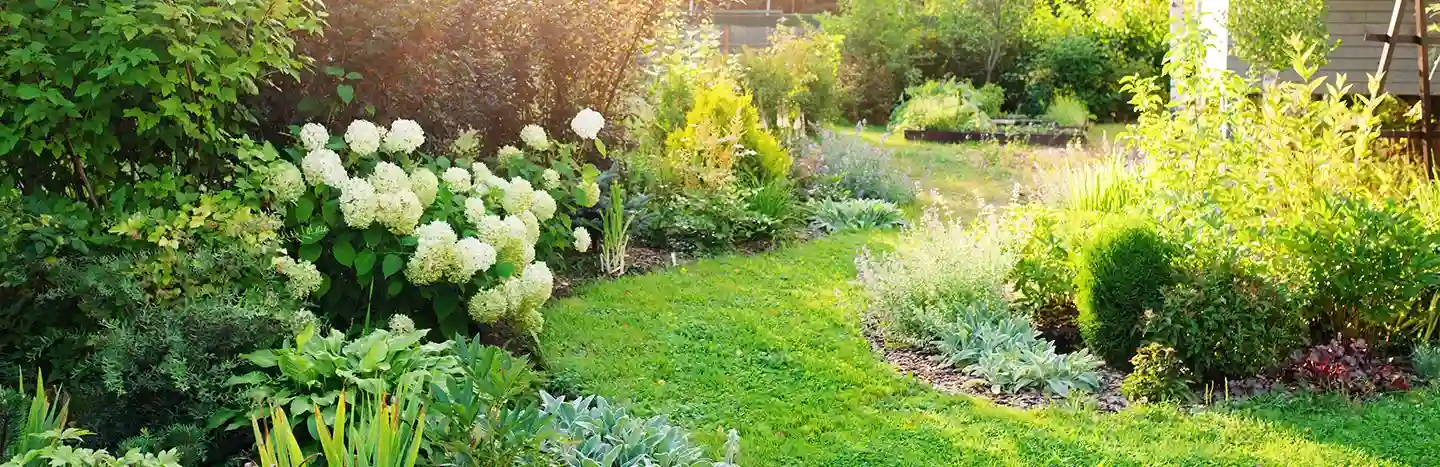 Flower Bed Landscaping