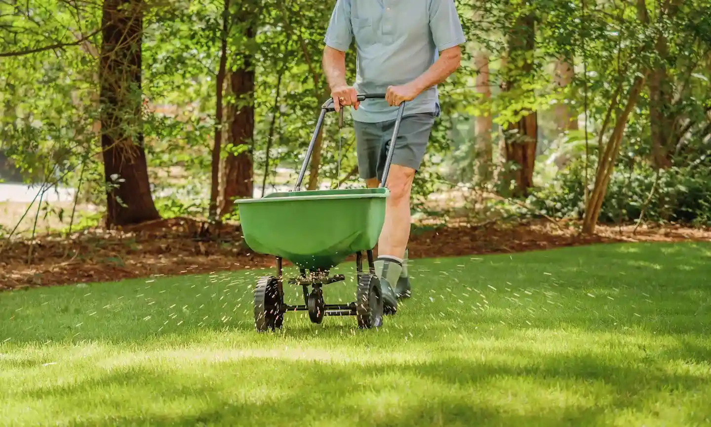 FERTILIZATION AND WEED CONTROL  Remington Landscaping, Lawn Care and  Fertilizing