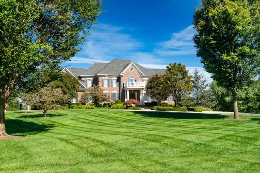 Fertilize Your Lawn in NC Guide