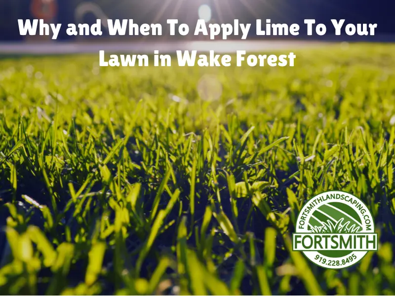 when to apply lime to your lawn in wake forest