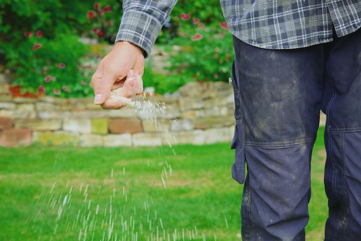 FortSmith yard seeding company